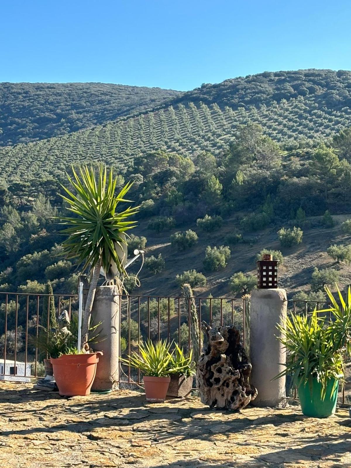 Ermita De Las Eras Algarinejo Buitenkant foto